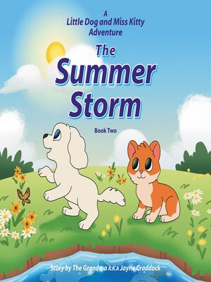 cover image of The Summer Storm